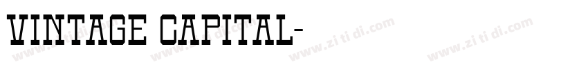 vintage capital字体转换